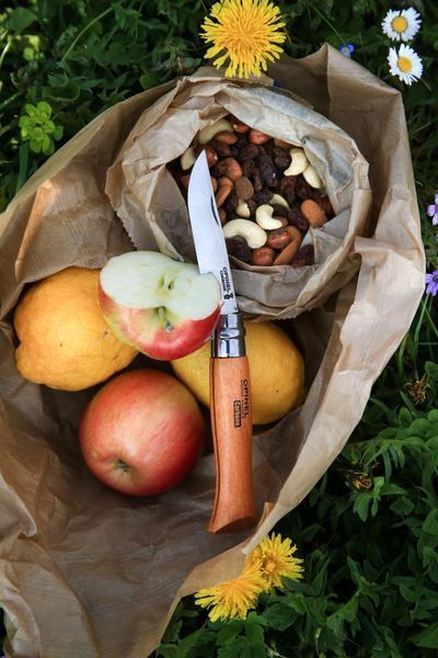 Складаний ніж Opinel №9 Tradition з вуглецевої сталі (113090) 113090 фото